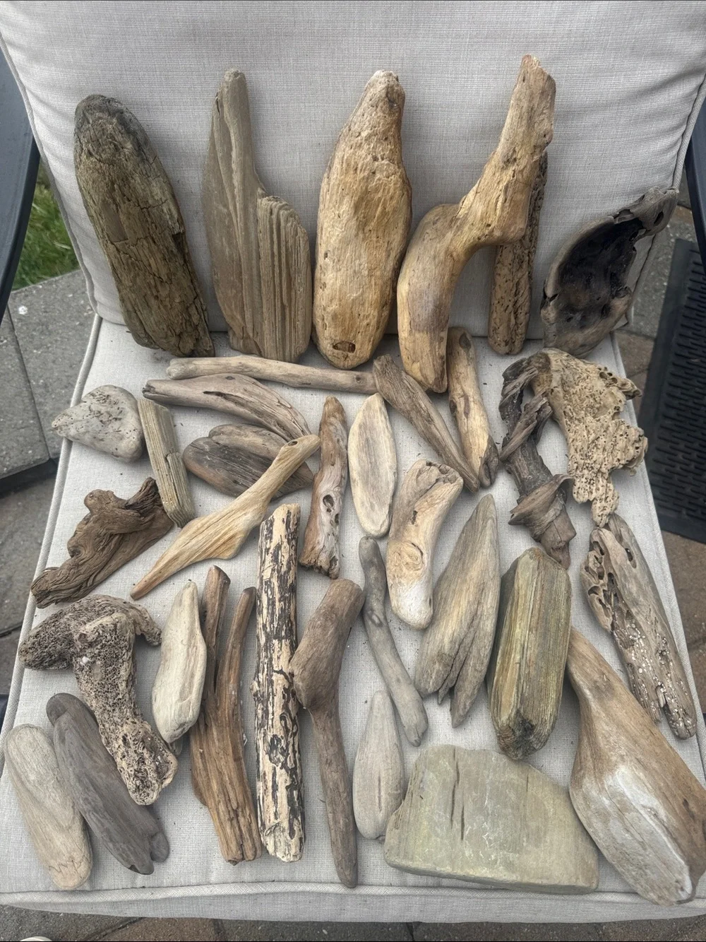 34 Pc (5lbs shipped) Box of beach Natural Driftwood Pieces for craft or decor